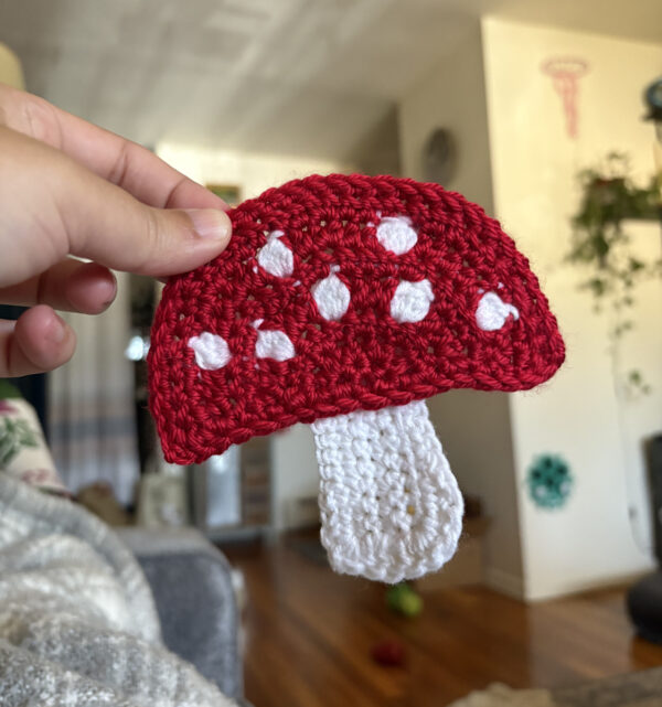 Red and white mushroom with a blurry background.